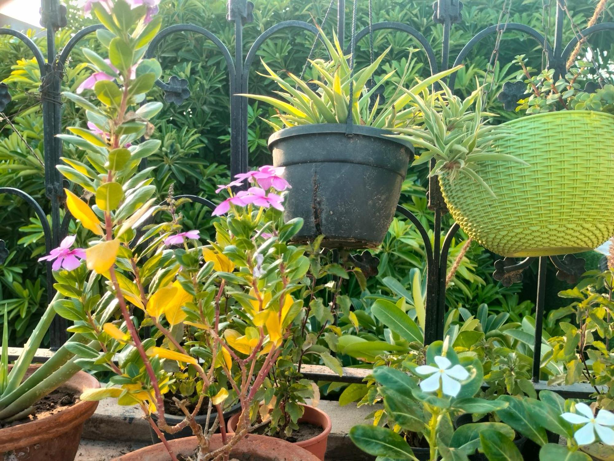 Kishan Home Stay Матхура Екстер'єр фото